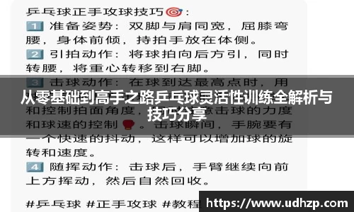 从零基础到高手之路乒乓球灵活性训练全解析与技巧分享