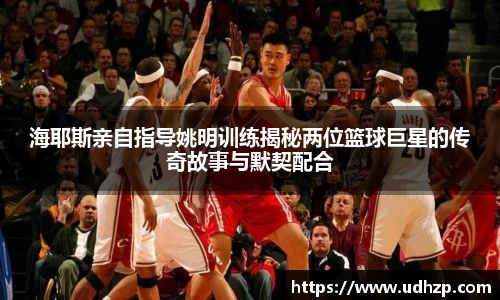 yy易游