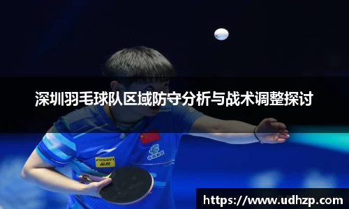 深圳羽毛球队区域防守分析与战术调整探讨