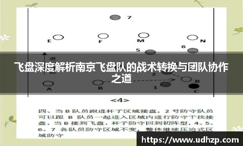 飞盘深度解析南京飞盘队的战术转换与团队协作之道